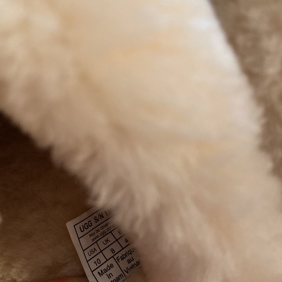 UGG Disquette Slipper - Picture 5 of 11